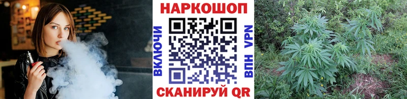 Названия наркотиков Выборг A PVP  Каннабис  МЕГА ТОР  COCAIN  АМФЕТАМИН 