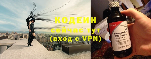 молекула духа Бронницы
