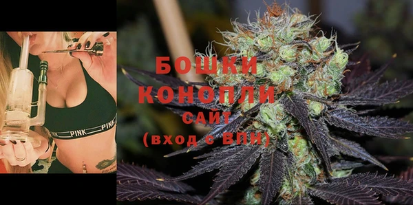 молекула духа Бронницы