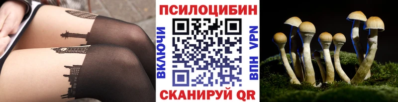 сайты даркнета состав Выборг Галлюциногенные грибы Psilocybe