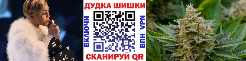 Шишки марихуана планчик  Выборг 